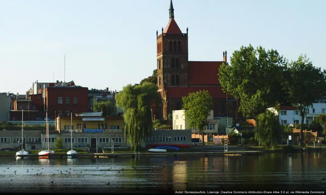 Wsparcie dla ofiar przemocy domowej w Kujawsko-Pomorskiem