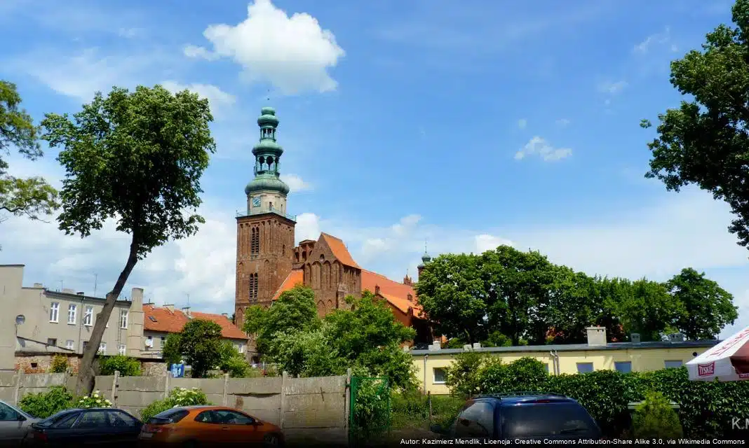 Nowy poradnik dla konsumentów energii dostępny dla mieszkańców Chełmży